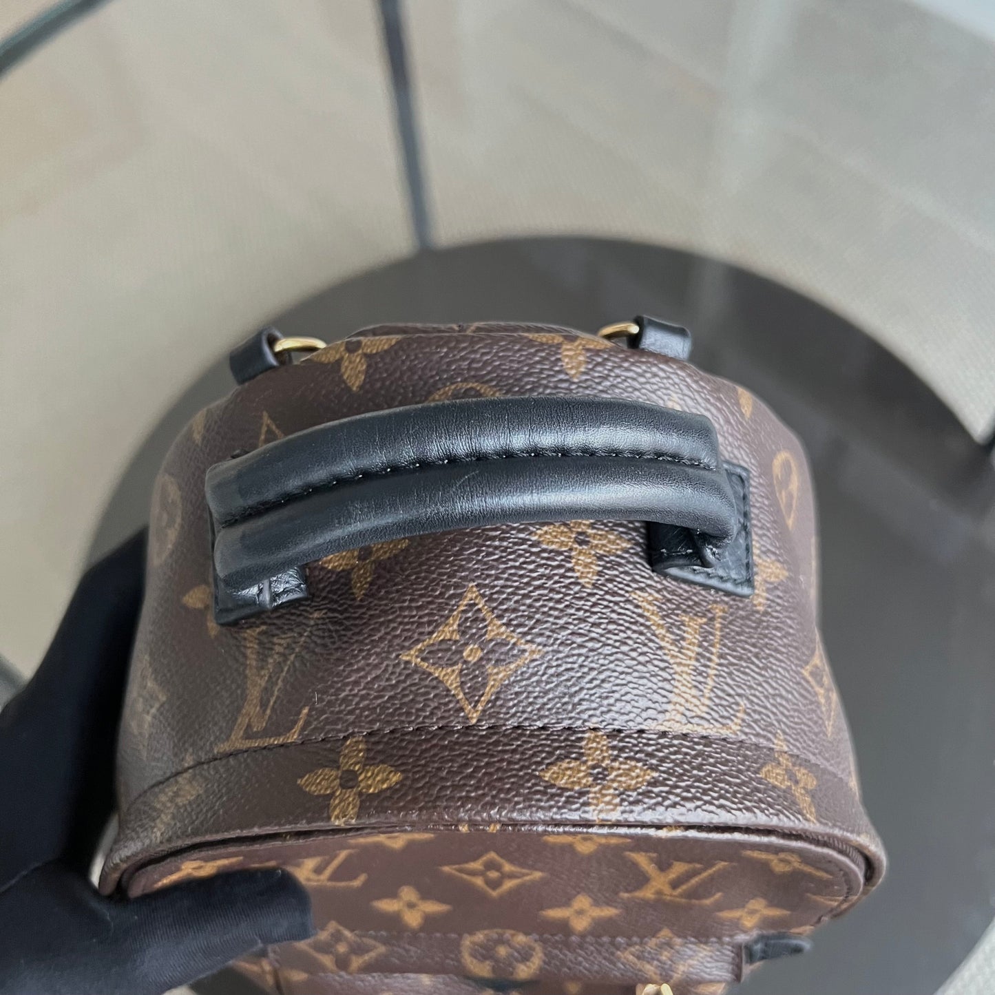 LVT Palm Spring Monogram Canvas Mini Backpack