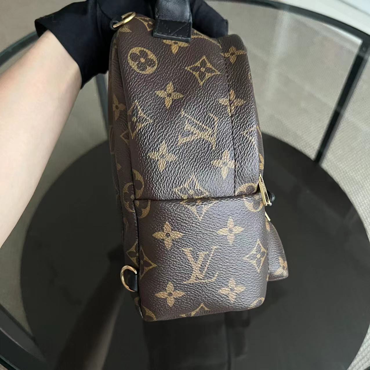 LVT Palm Spring Mini - Monogram Canvas Backpack