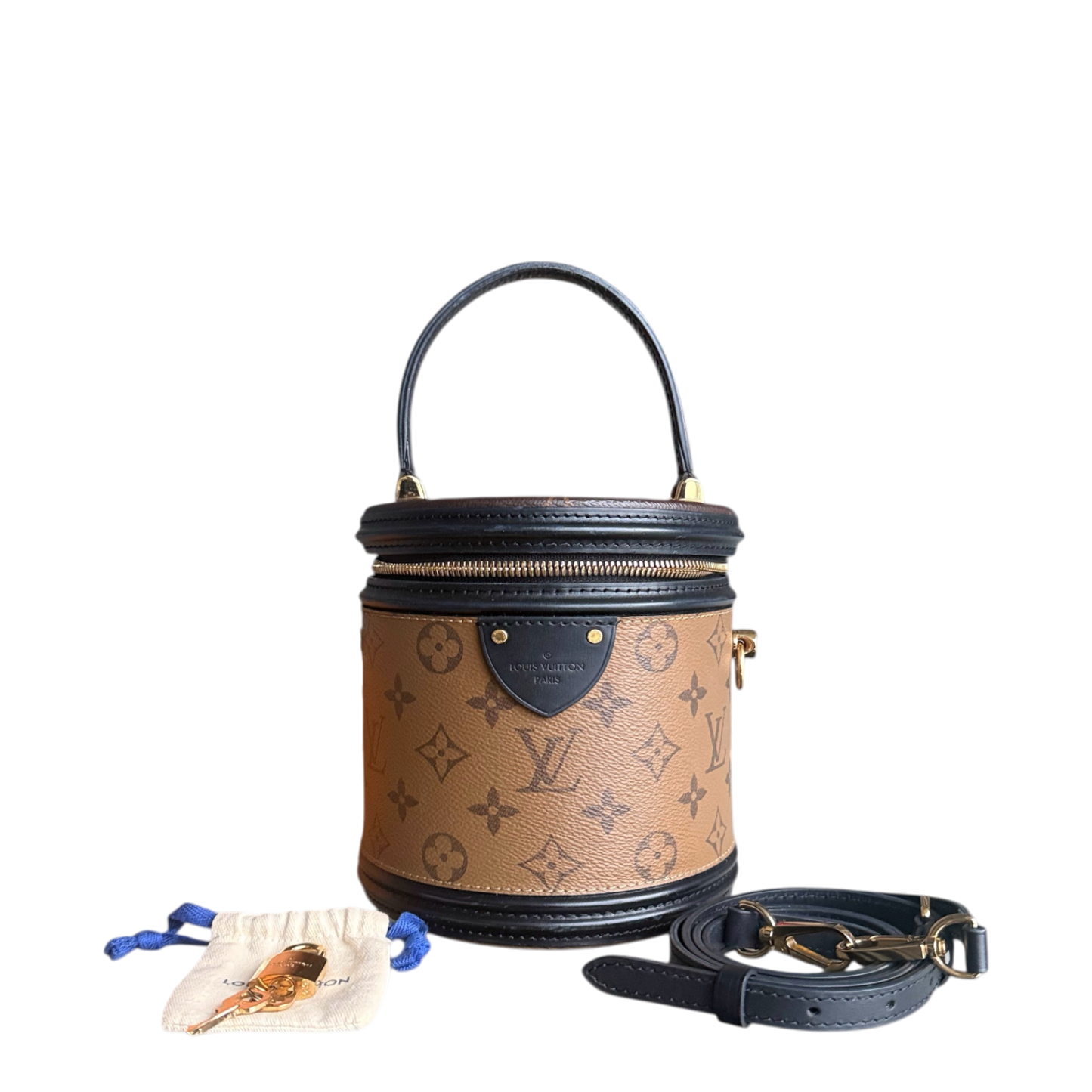 LVT Cannes Monogram Reverse Handbag