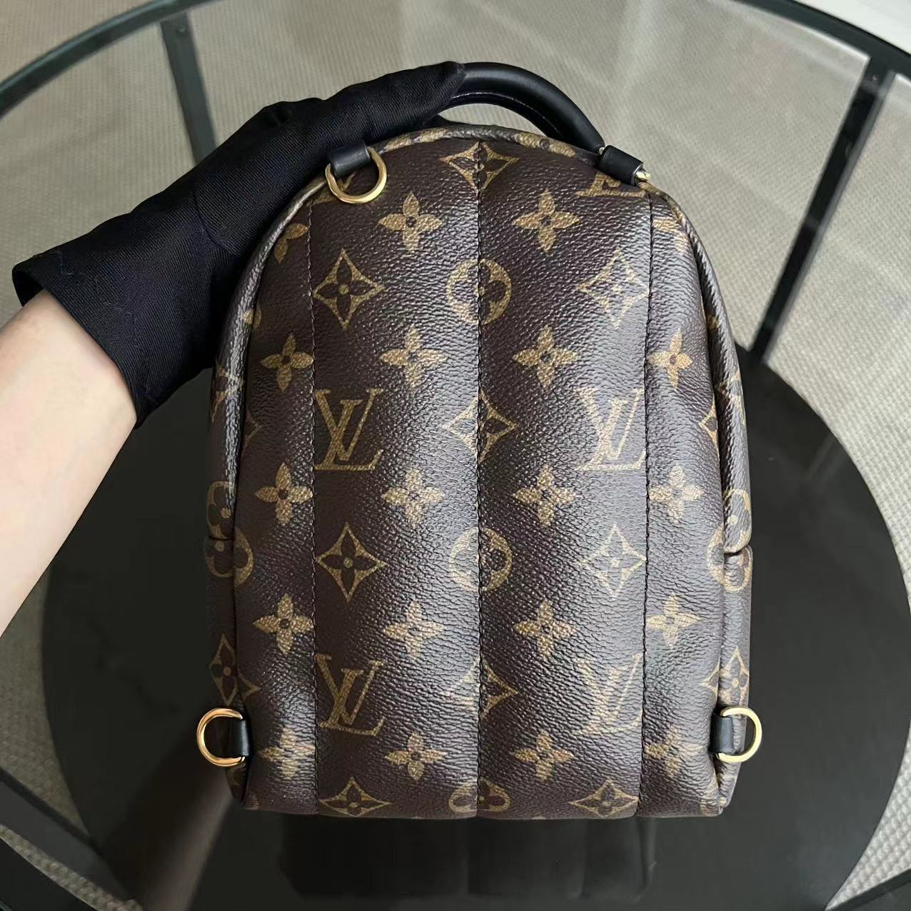 LVT Palm Spring Mini - Monogram Canvas Backpack