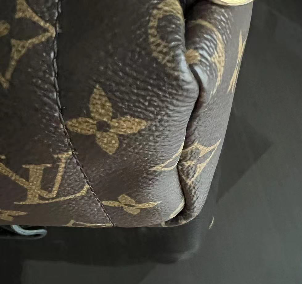 LVT Palm Spring Mini - Monogram Canvas Backpack