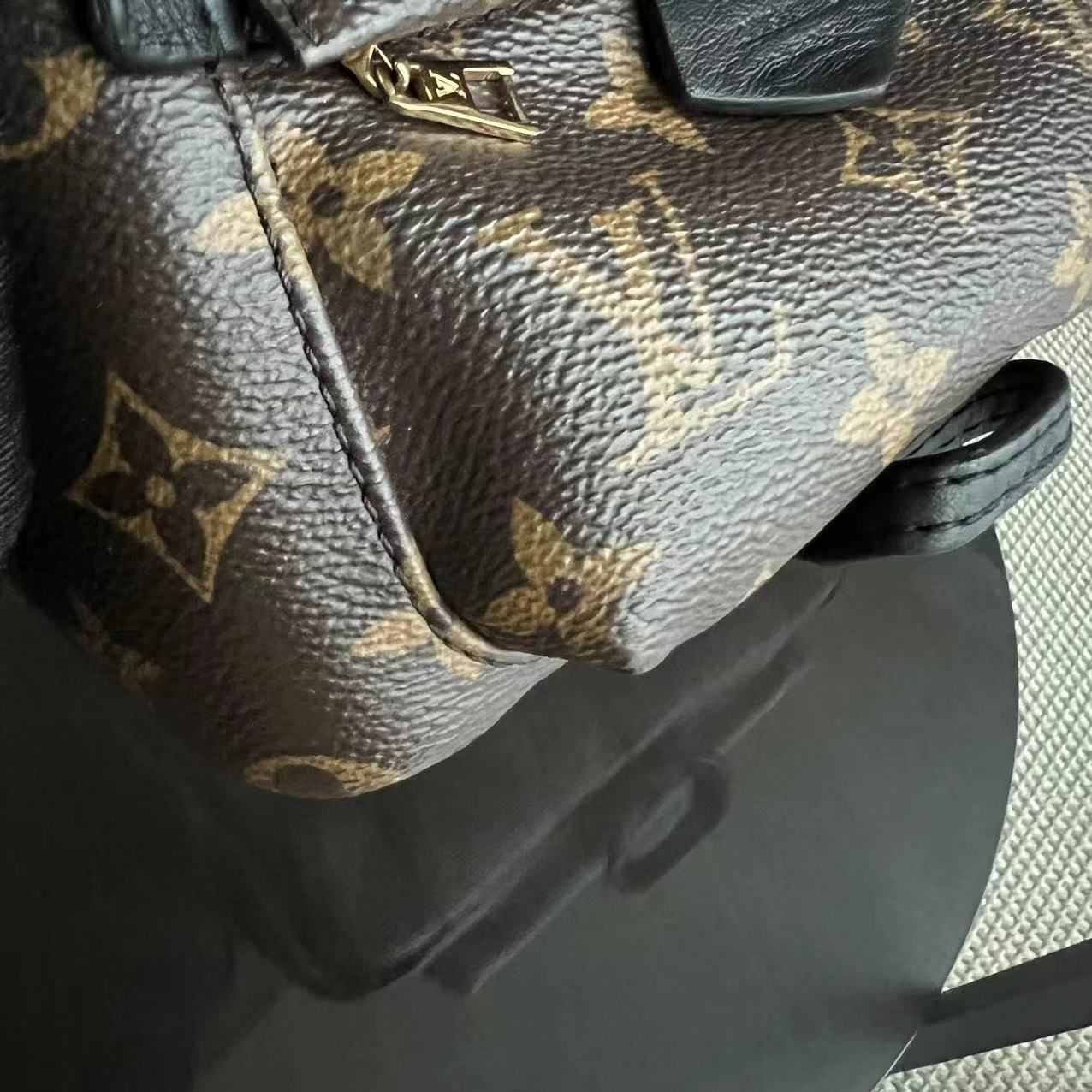 LVT Palm Spring Mini - Monogram Canvas Backpack
