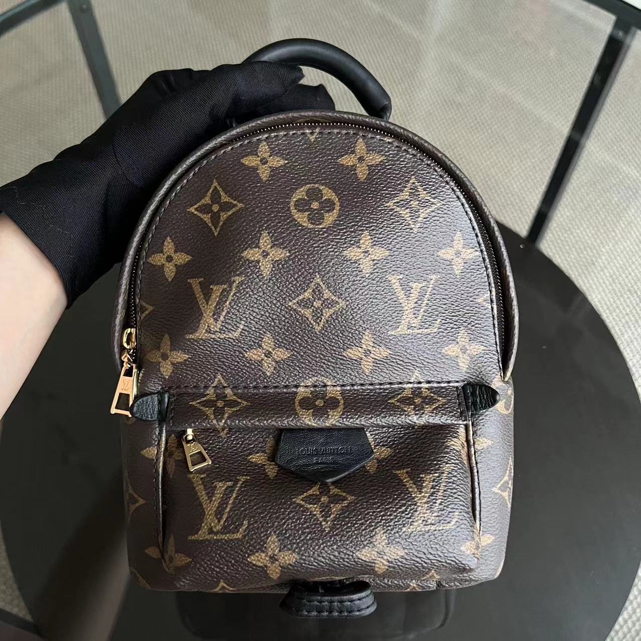 LVT Palm Spring Mini - Monogram Canvas Backpack