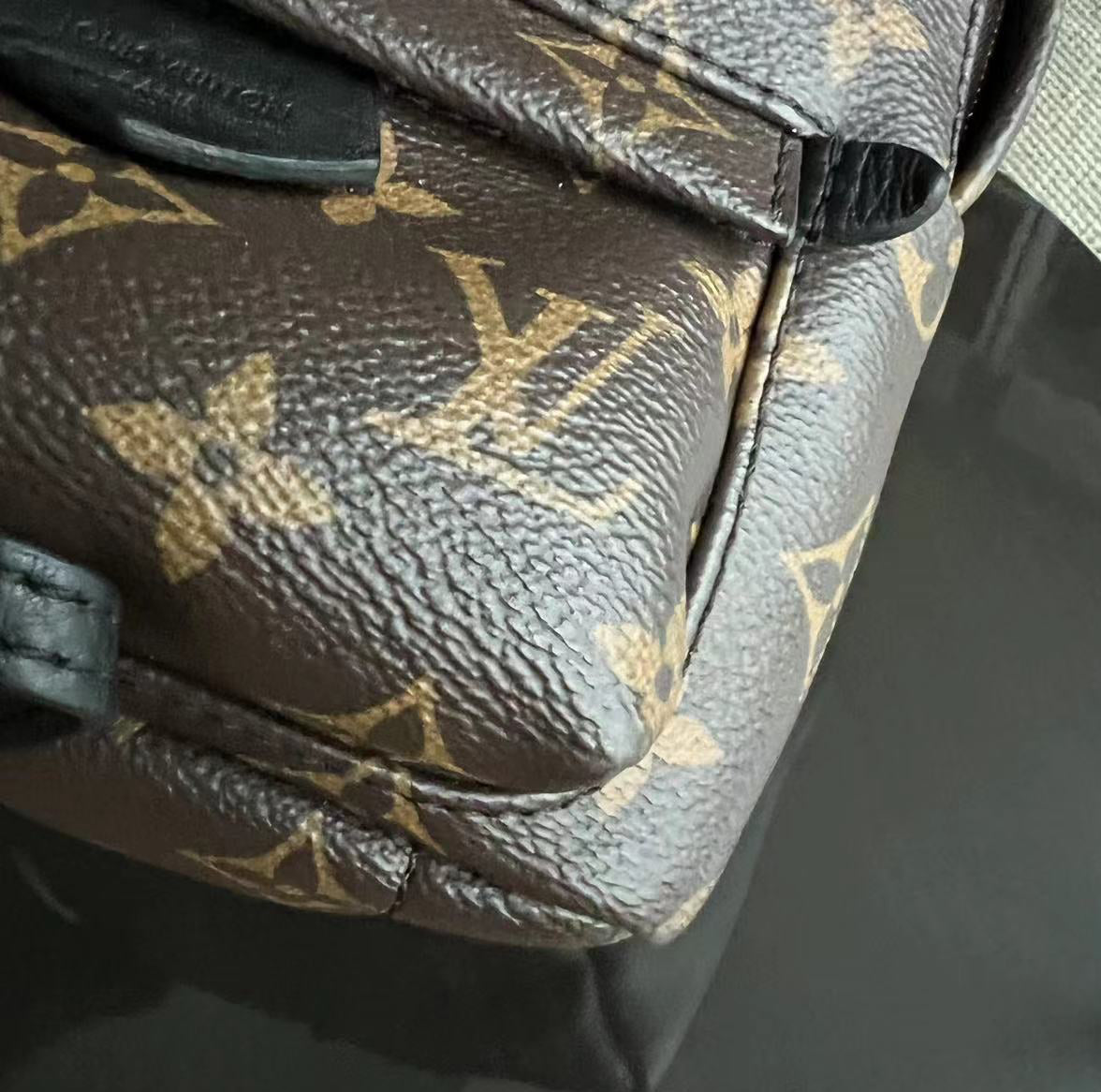 LVT Palm Spring Mini - Monogram Canvas Backpack