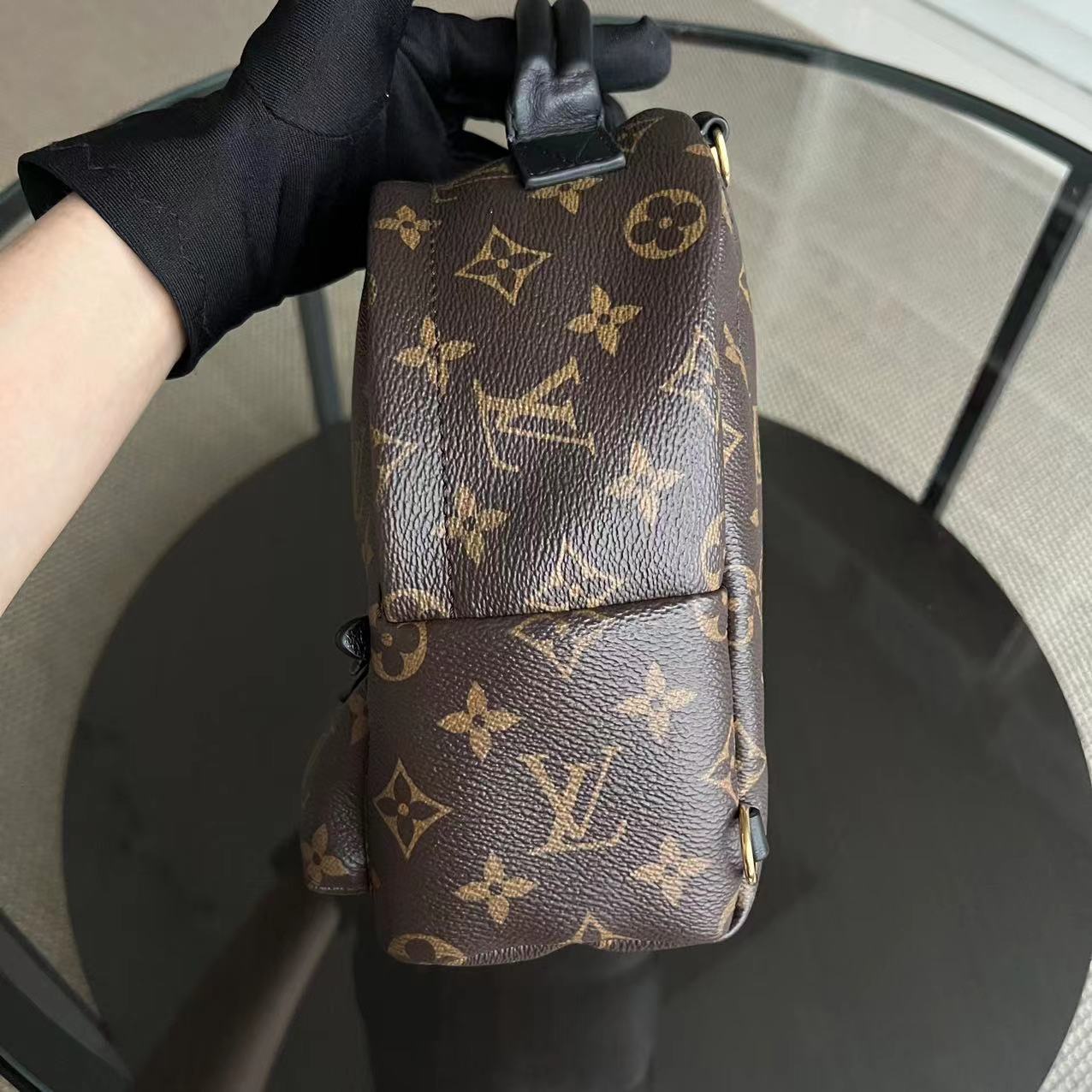 LVT Palm Spring Mini - Monogram Canvas Backpack
