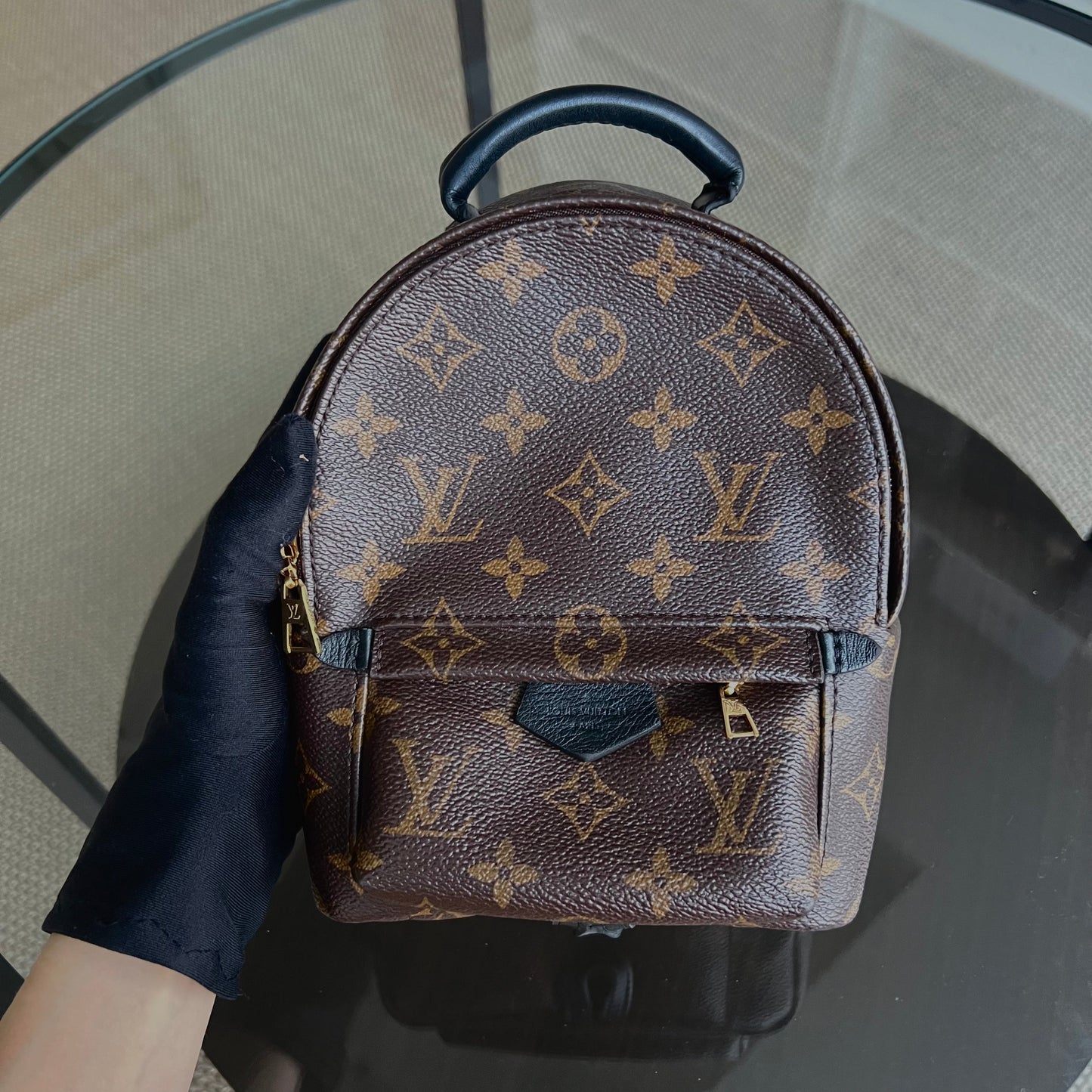 LVT Palm Spring Monogram Canvas Mini Backpack