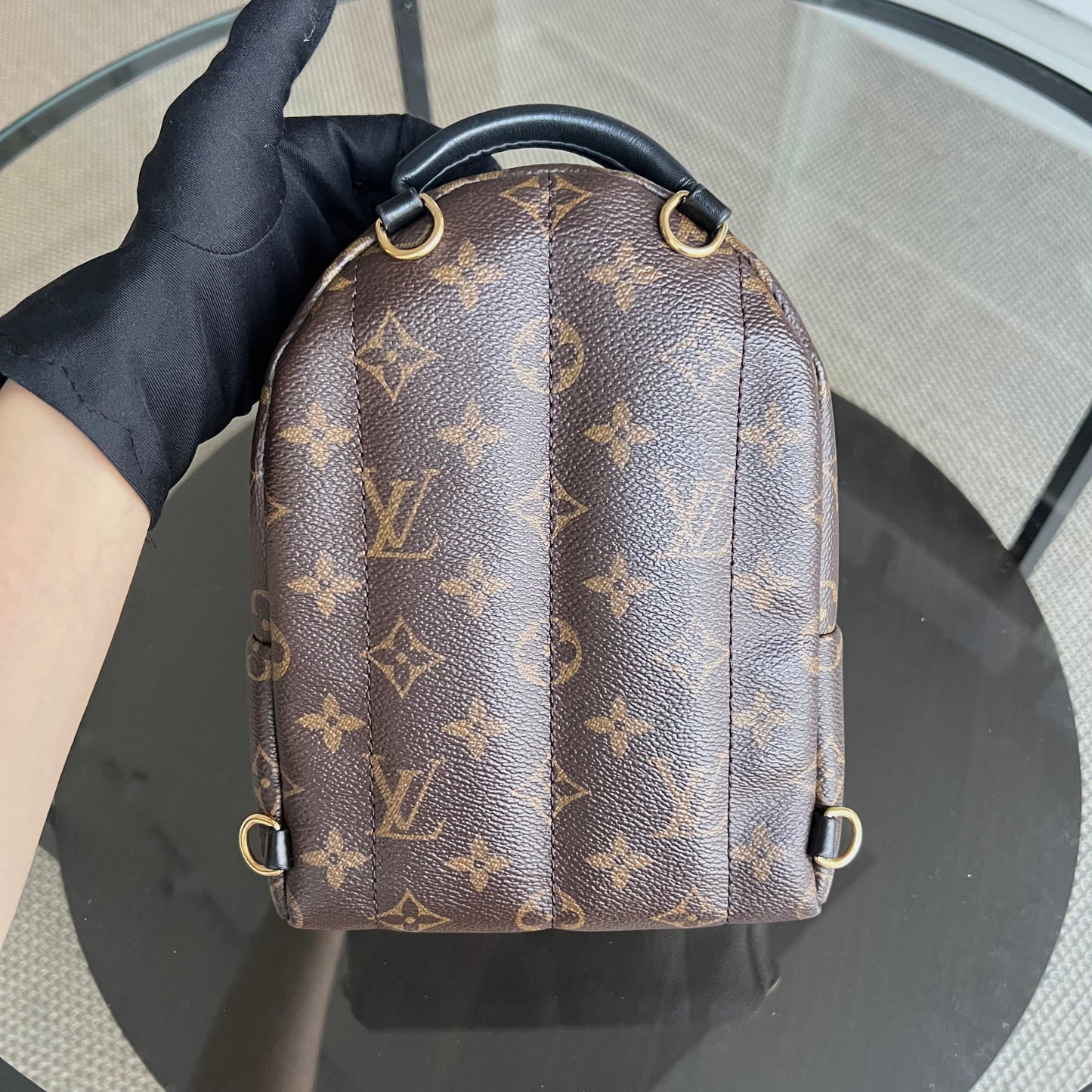 LVT Palm Spring Monogram Canvas Mini Backpack