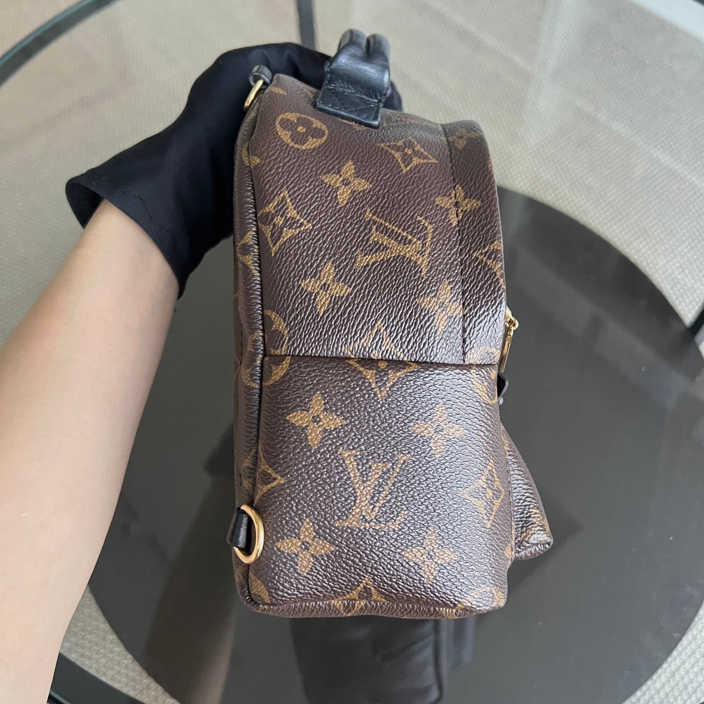 LVT Palm Spring Monogram Canvas Mini Backpack