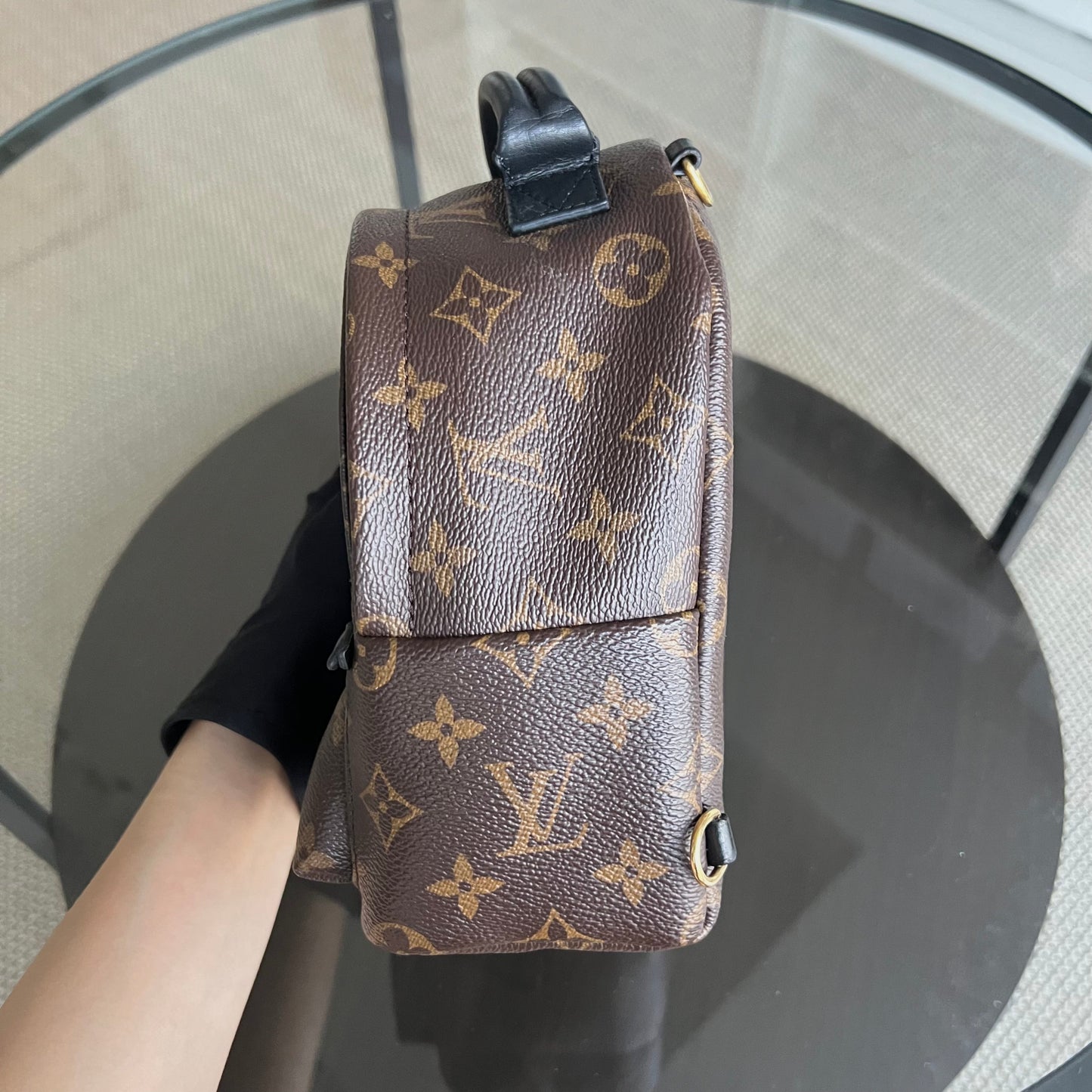 LVT Palm Spring Monogram Canvas Mini Backpack
