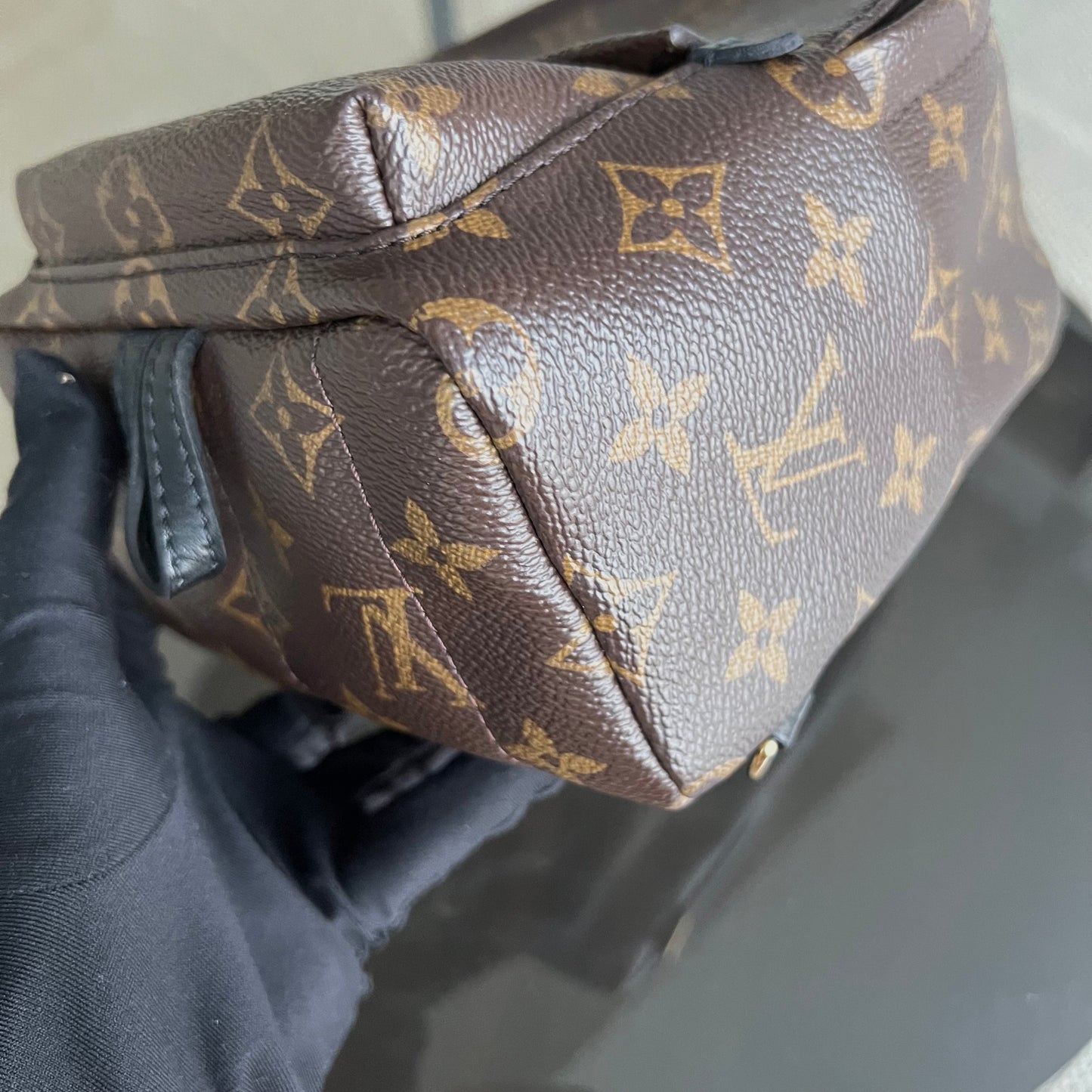 LVT Palm Spring Monogram Canvas Mini Backpack